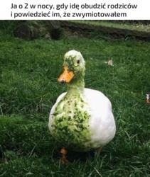 306b70c1-b9fe-426d-a9b7-e690dcab2fa8