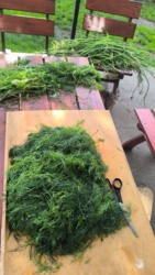 3b9ae859-4cbc-4a5e-ac1b-5100e7ad22d3