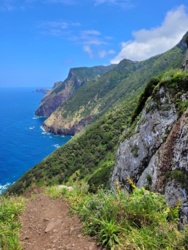 9a6895db-31c2-4440-98f2-110e2b19ebe6