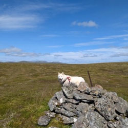 824779bf-67e5-4314-b114-0af03e38c220