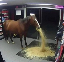 2993e993-e881-464f-8d56-2d5a9fac71e4