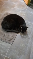 2c54ee33-1d12-42b3-8380-ed9f6bcaca67