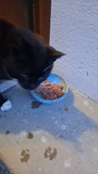 a91398ec-fa03-441d-ba25-014dc7ba4055