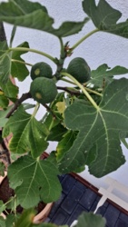 18ad4a0f-f2b0-4c9e-ab4e-d14456f4ac1b