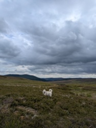 88578189-e6ef-4d07-80b5-ded42a7b5e95