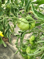 416656c0-84cc-45f2-a47d-c0fd6ec3cc55