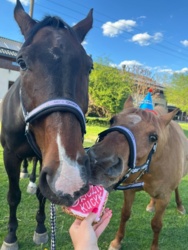 d327c9ed-72cc-4f6a-9a8e-e312f277fb16