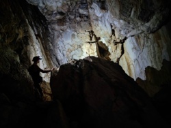 302a1a50-33c9-406c-8037-23fd05ec7d3f