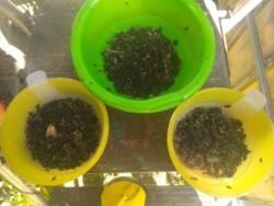 558bcf86-d8bf-4c02-b2a0-f273efcb2733