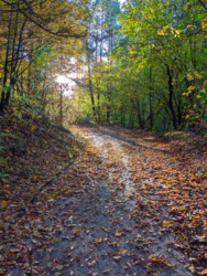 26ccc8e0-c18e-4aa4-afd8-1664d0bcdacb