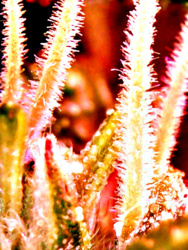 baf1dda1-642a-437f-8b26-fda7841c4aa8