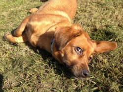 3980f075-4720-4589-af59-807aa24ecac7