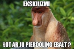 255ea6a5-3fc6-4fcc-979e-3e9506675aa6