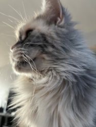 32654bf4-33ab-4ab8-b111-72a21d7d7ade