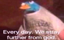 dcacfa7b-af2f-40f0-847f-d9e039cf4afc