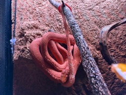 d823177a-2141-4924-8066-1af4a233ea6a