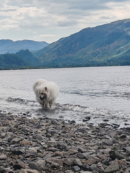 d732d2f3-0380-4d23-a4f6-73f31ec4d59e