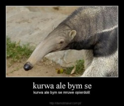 066cbff8-cd15-4e92-be7f-dd415d74d1b1