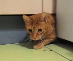 2992210d-3bef-4b0c-8fb0-1250de08bf30