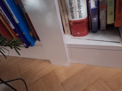 45961538-5498-4a18-9803-2122f8f4cadb