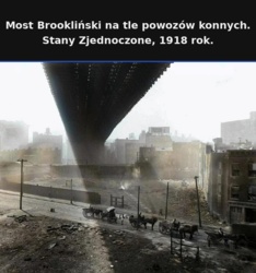 711b5c82-24d6-4b1d-842e-edf4ded76fcc