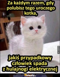 b92923cb-d8b4-4d2c-957f-d5582de22290