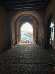 21ea3025-9b72-4ee7-b499-f5f7a3811298