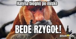 4ae0e929-31d7-47d5-a0fe-058e1ba0d01f