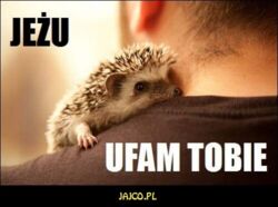 005933db-3388-4373-8f9b-13b46ca5e577