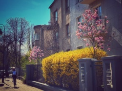 75388712-8f11-4ede-8e12-3defcee3609a