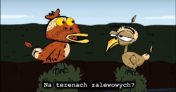 e64f3db5-fd0b-4bd2-b4ef-19862b8f7dae