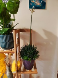 10a0e8bc-ed9f-4337-a6d6-05b3136ee1ae