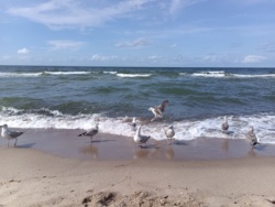 ed614351-d46b-400c-9d7e-28319fcce081