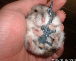 5a6d769c-0467-49df-be03-4c8905457a03