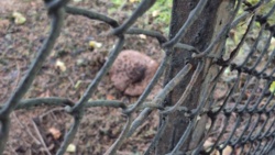 aab8db40-f72a-44e6-8ce9-96a682e3f8e6