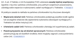 3a0b2072-d9f5-4b17-8029-04a1dbdb7f98