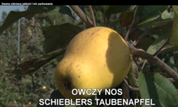 7f8409d7-f7cc-4afe-a6fc-944409a2e5f4