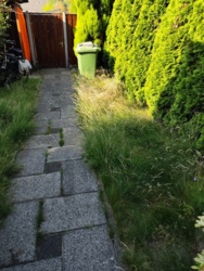 a6d73d56-158a-4825-ad5a-379b025b9953