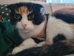 506761a3-643b-4d41-a3fb-ab51b4c4acfe