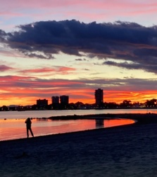 fb06d22e-48fd-49b1-a0d9-62a9a0cc5f39