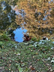 9856bac0-c6bc-41be-af38-8083a1790fc3