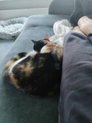 7da66fa6-7b2d-48f6-902c-208b8a46b2d6