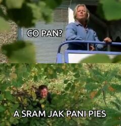 c2b0402d-909f-4d8e-b95f-139e89fd2835