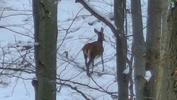 4aaf74c0-dd97-4280-950b-9aa07a013fcb