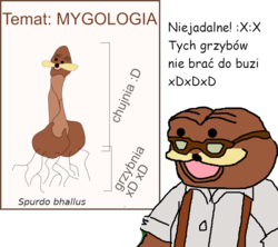 6e6a581c-dc3f-4b88-bf6c-876423f77f2b