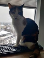 863dc0ec-bc7d-4e1e-a18e-9c39117e0b5e