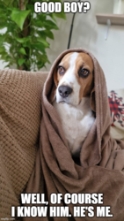 3f1915e4-0282-4ab5-af67-9efbe135d983