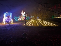 b8fbd2c5-b665-4526-80a6-b80cd8146779