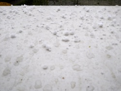 d150e6cd-1a52-452e-a060-0eb52eee3924