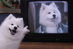 5280fd90-347e-44c5-82c9-cc32f1700786